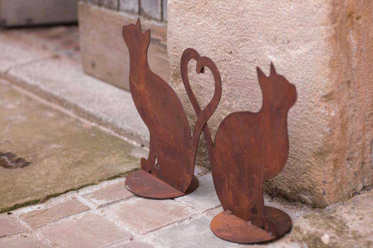 Les Chambres Du Chat Sainte-Cécile Exteriör bild