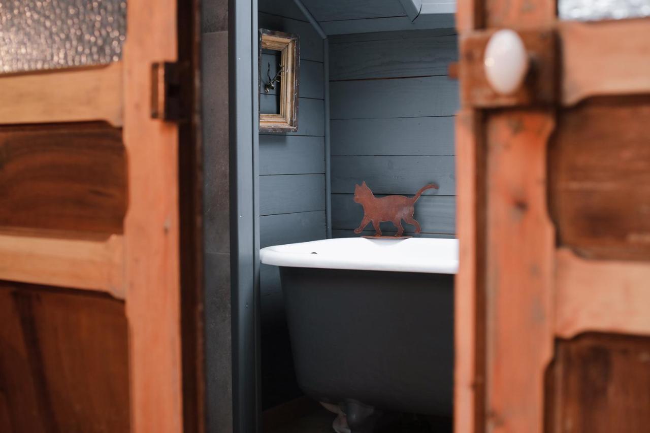 Les Chambres Du Chat Sainte-Cécile Exteriör bild