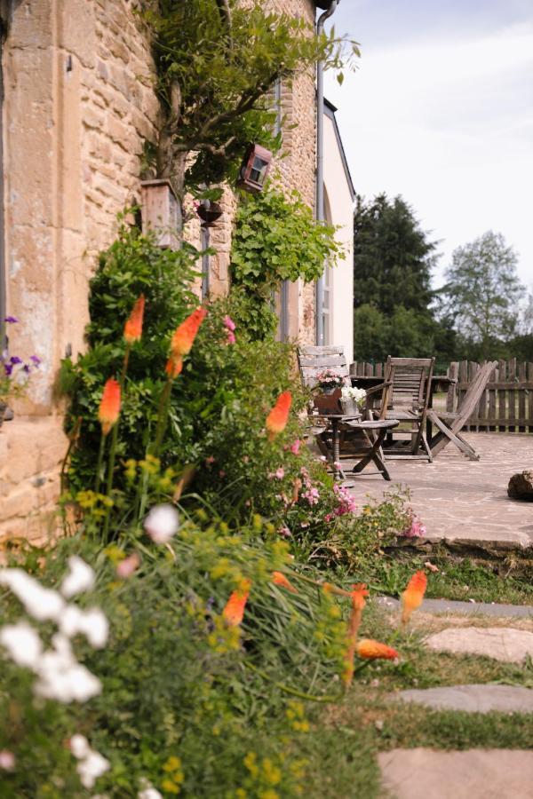 Les Chambres Du Chat Sainte-Cécile Exteriör bild