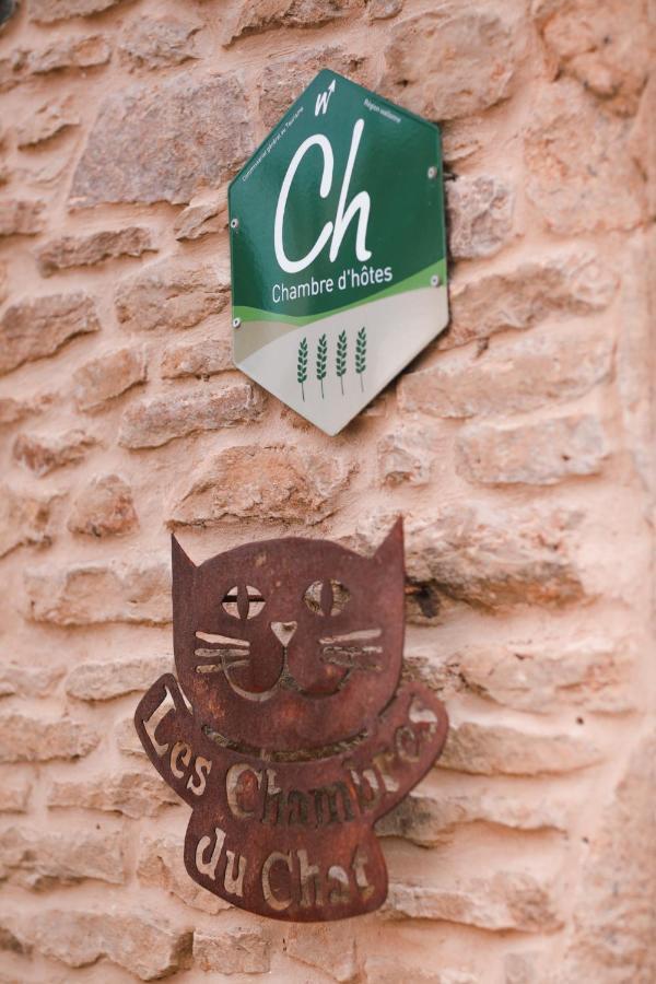 Les Chambres Du Chat Sainte-Cécile Exteriör bild